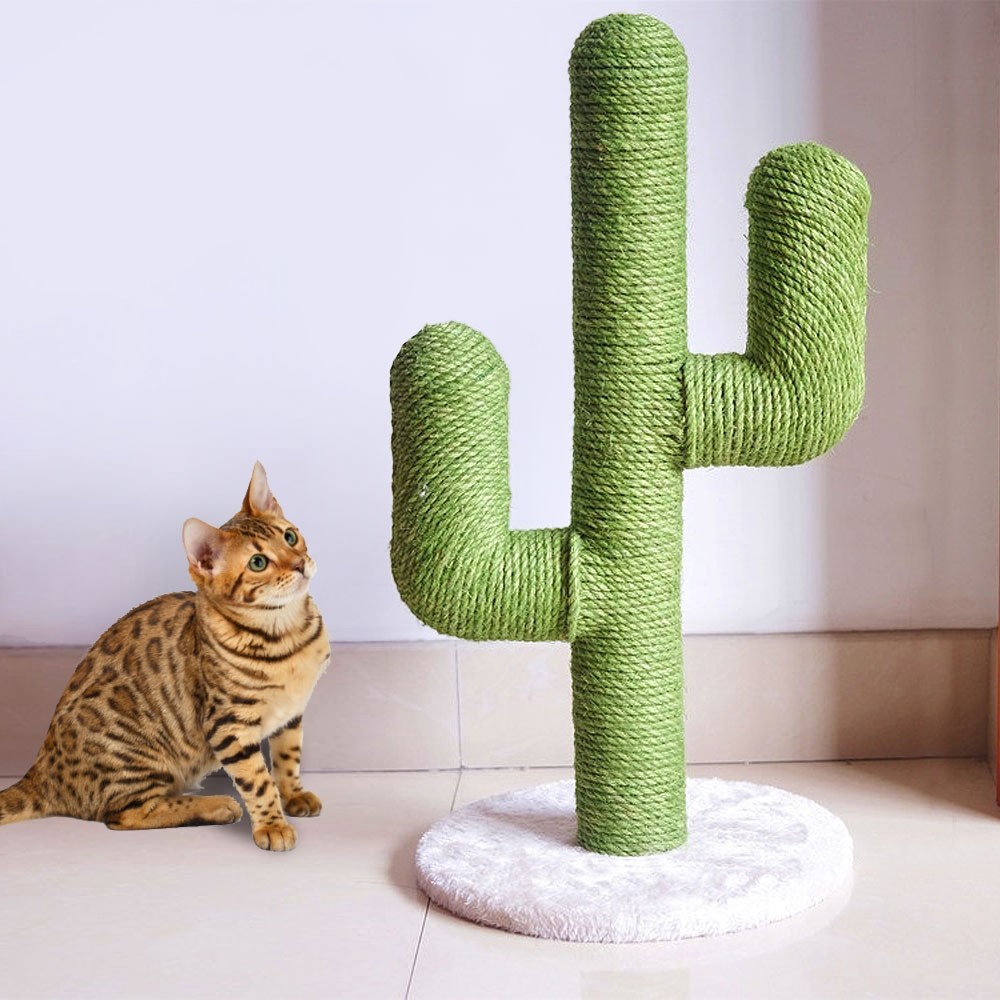 Rascador cactus